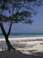 Zanzibar Holidays - romantic beaches