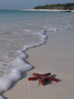 Zanzibar Holidays - relaxing beaches