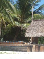 Mozambique Holidays - lush vegetation