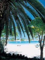 Florida Keys Holidays - tropical paridise