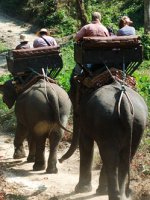 Phuket elephant ride
