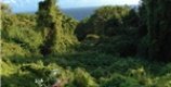 Holidays in St Eustatius