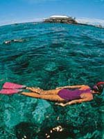 Australia Holidays - dive the Great Barrier Reef