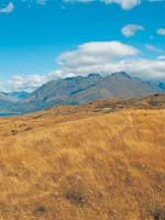 New Zealand Holidays