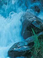 New Zealand Holidays - beautiful nature