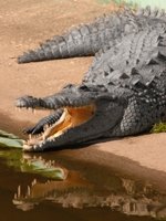 Orlando Holidays - smiling locals