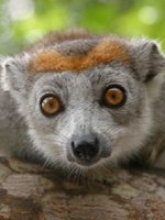 Madagascar Holidays - curious locals
