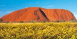 Holidays in Australia & NZ
