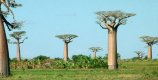 Holidays in Africa