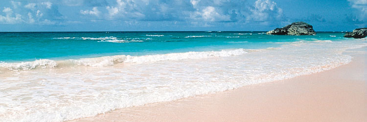 Diving Holidays