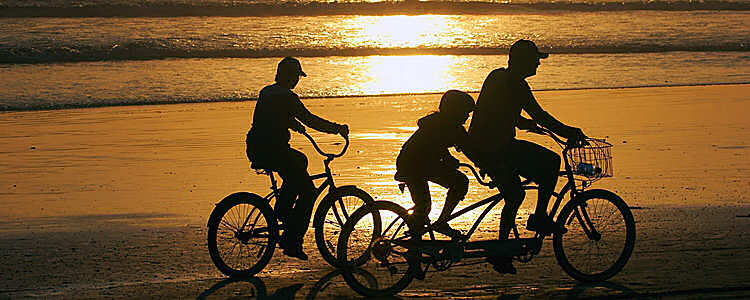 Family Holidays
