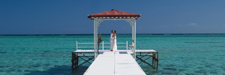 Holiday Wedding Brochure