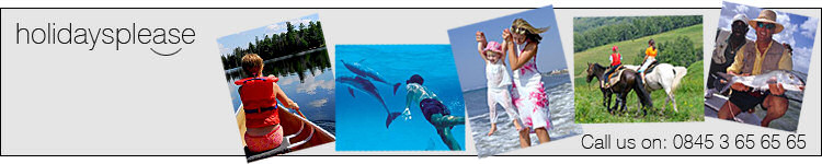 User Homepage
