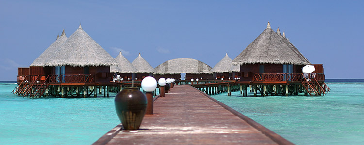 The Maldives multi award winner for its world class diving