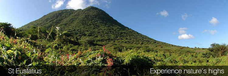St Eustatius Offer