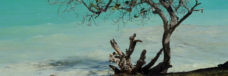 Zanzibar Holidays