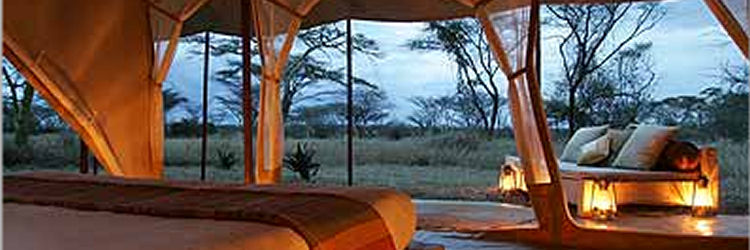 Kenya - parks, reserves and guides