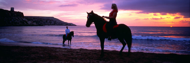 Honeymoon Holiday