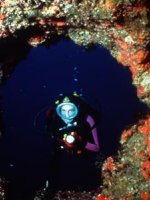 Malta Diving Holidays - amazing clear seas