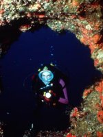 Malta Holidays - sublime aquatic sights