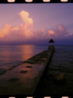 _LIVE-SUNSET
