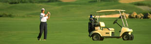 Aruba provides a wealth of relaxing activities