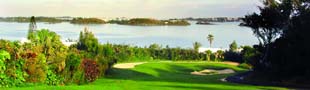 The climate in Bermuda means vegetation is lush and abundant