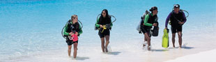Wonderful beaches and scuba diving