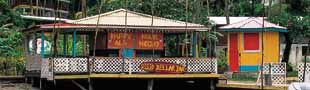 Enjoy St Lucia's colouful culture
