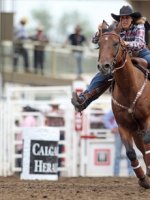 Calgary Stampede