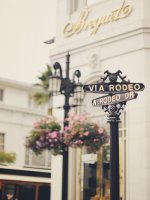 Beverly Hills Rodeo Drive