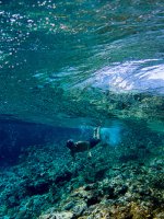 Beqa Lagoon Holidays