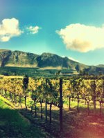 Stunning Cape Winelands Holidays
