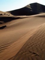 Beautiful Empty Quarter Holidays