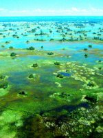 Beautiful Okavango Delta Holidays