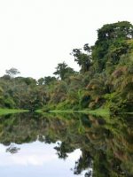 Tortuguero National Park