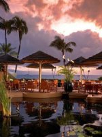 Westin Maui Resort - Maui