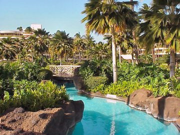 Sheraton Maui Resort - Maui