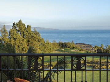 Ritz KapaluaMaui 00121 Vert X518