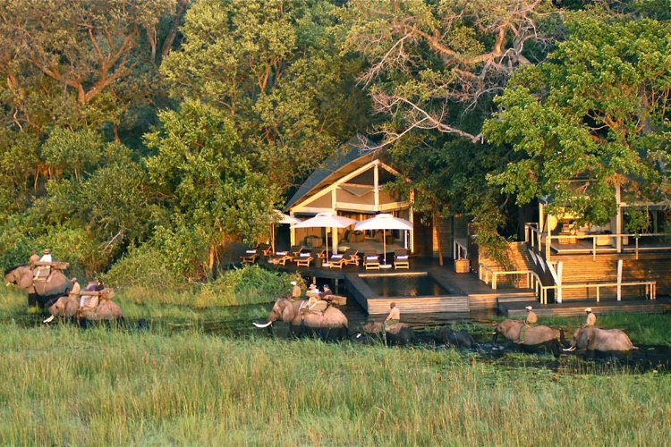 Abu Camp, Botswana - Get Prices for the Stunning Abu Camp