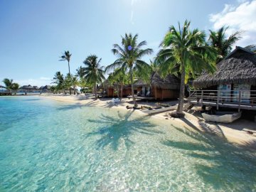 Medium 707 Photo MG 7877[1]