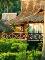 Phi Phi Island Village Beachfront Bungalows In Morning Sun 274x185