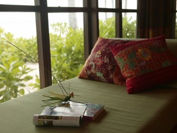 Zeavola Details & Moods 4