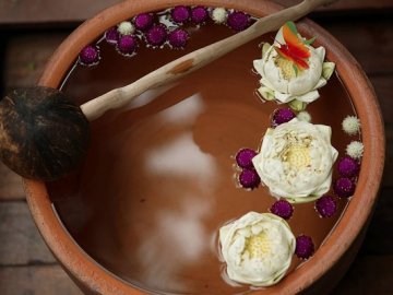 Zeavola Details & Moods 11