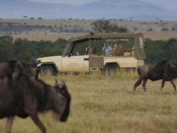 Mara Safari