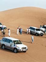 Dubai - deserts