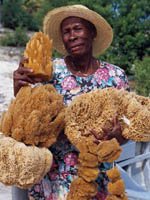 Bahamas - Traditional