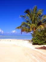 Tahiti - beaches