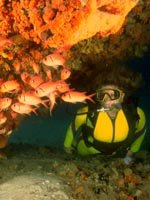 Aruba - Scuba Diving