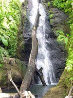 Grenada - waterfalls